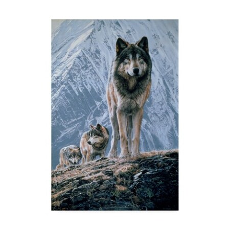 Trademark Fine Art Ron Parker 'Crossing The Ridge' Canvas Art, 30x47 ALI32417-C3047GG